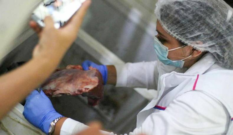 Alcaldía incautó 335 kilos de carne en mal estado que estaba lista para la venta