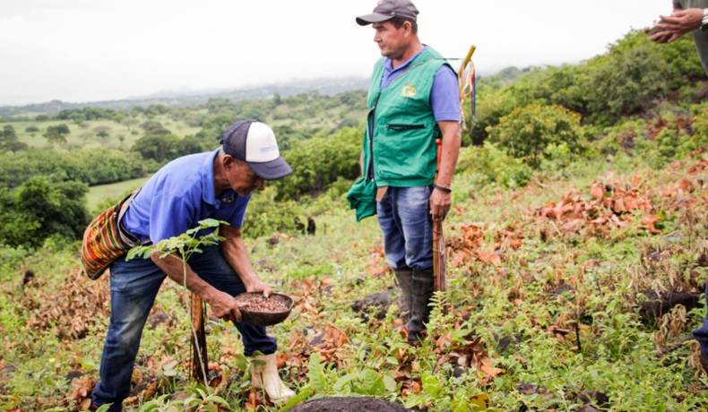 Cortolima restaura predios de cinco resguardos indígenas