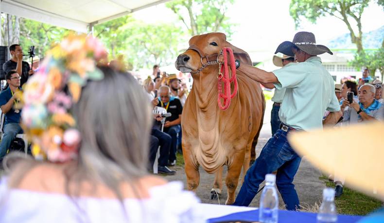 Se lanzó programación de la Feria Agropecuaria, Industrial y Bovina grado A