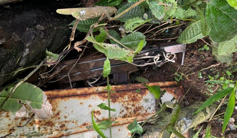 Incautada una Mini Uzi hechiza y 5 capturados en Fresno