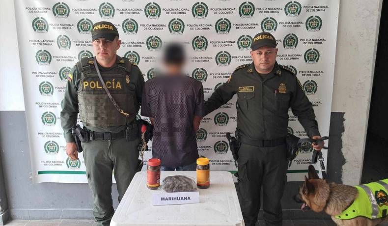 Titán olfateo cerca de 4 kilos de marihuana en El Espinal 