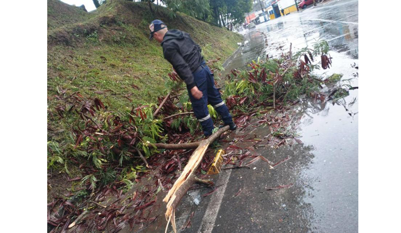Fuertes lluvias provocaron varias emergencias en Ibagué