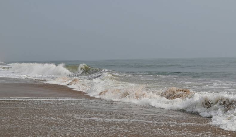 Llamado a Colombia, Costa Rica, Ecuador y Panamá para que ratifiquen Tratado de los Océanos