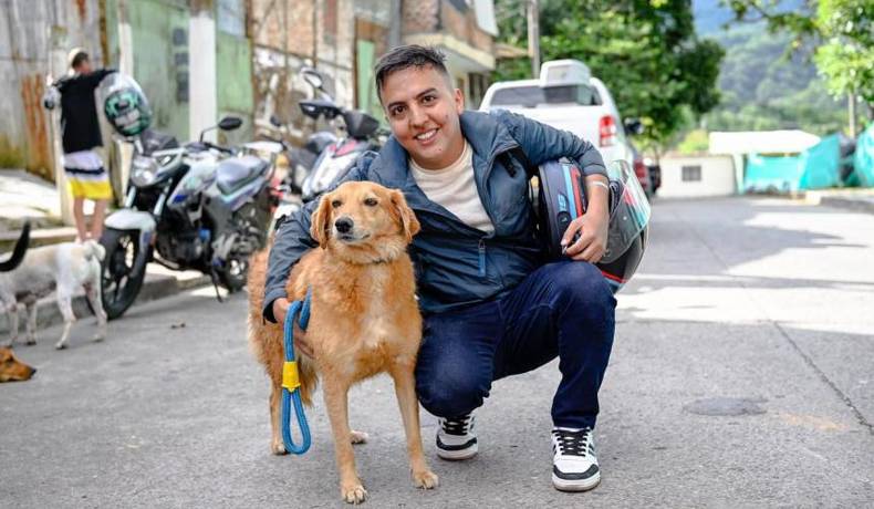 Peluditos volverán a ser esterilizados de manera gratuita por el CAPA
